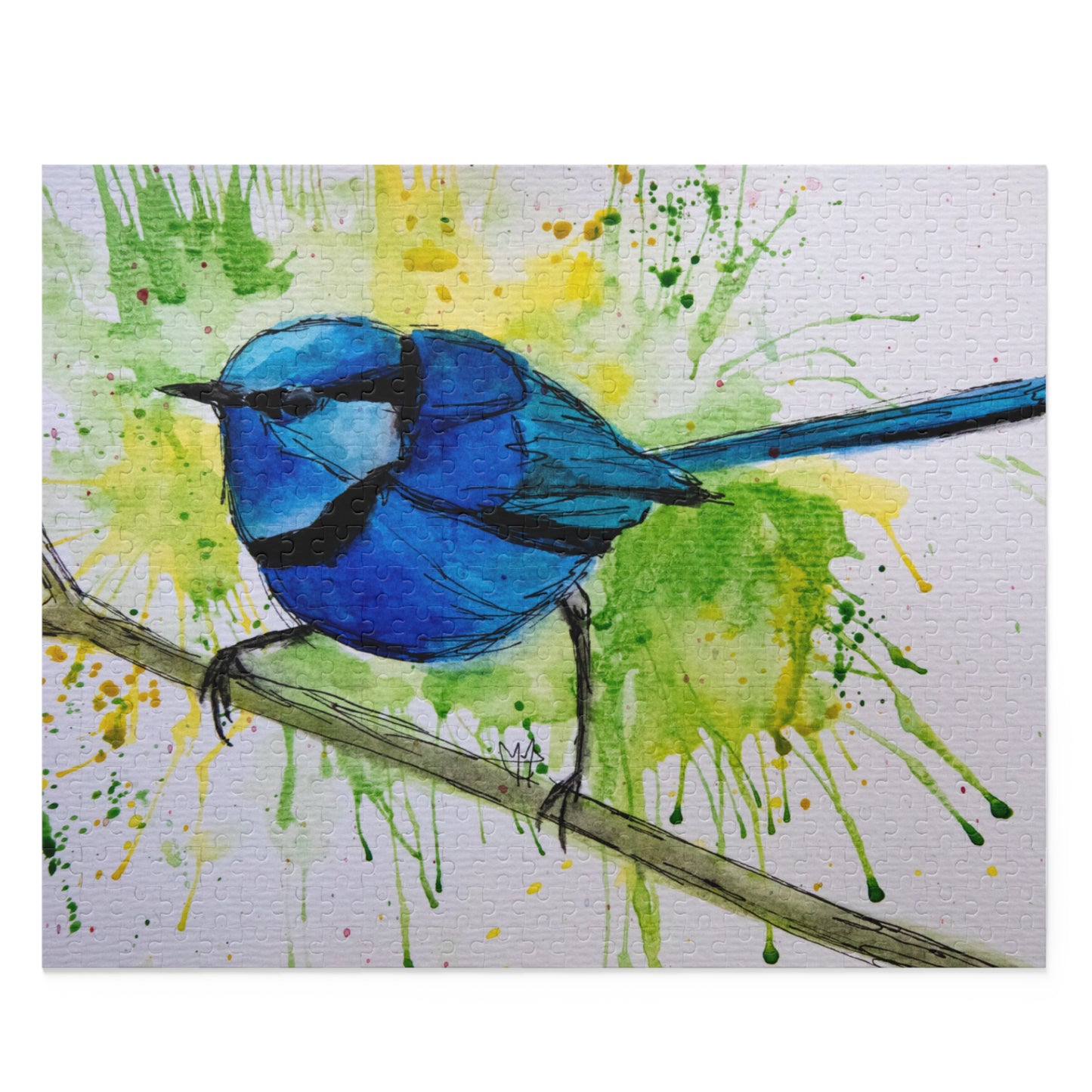 Splendid Fairywren