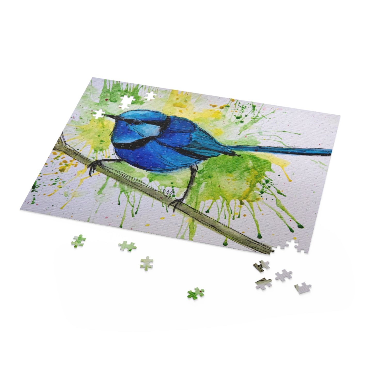 Splendid Fairywren