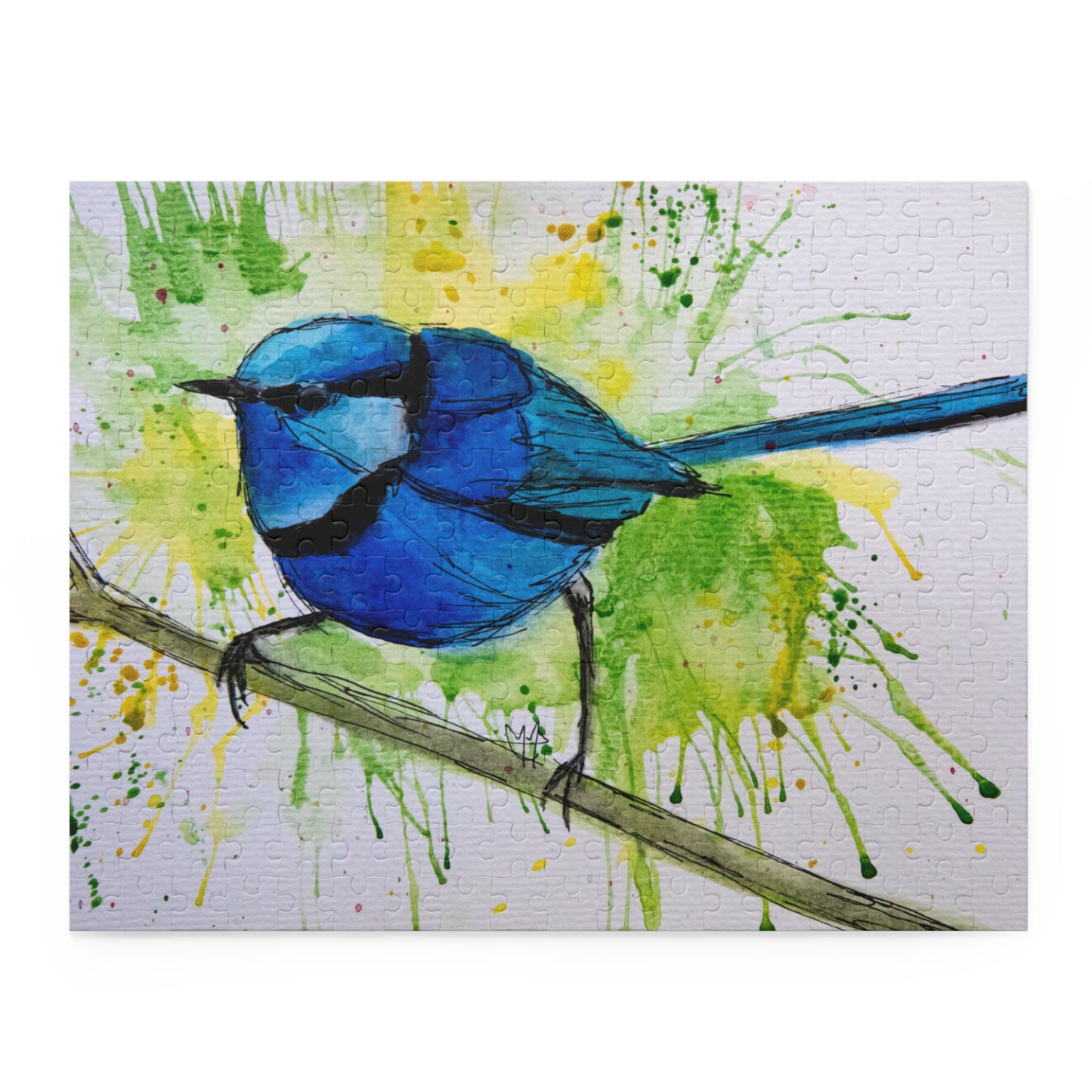 Splendid Fairywren