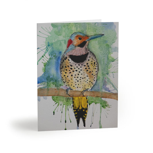 Northern Flicker