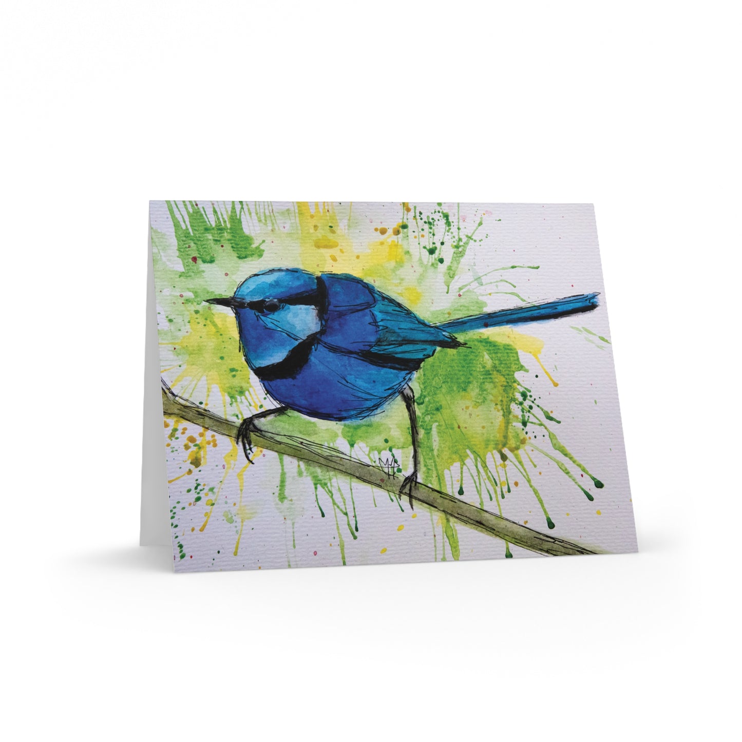 Splendid Fairywren