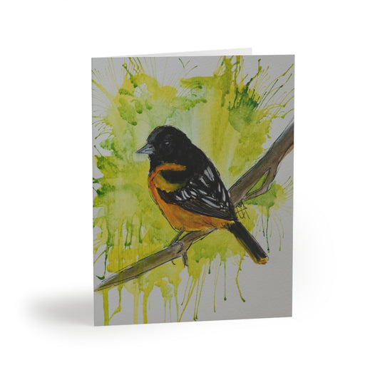 Baltimore Oriole