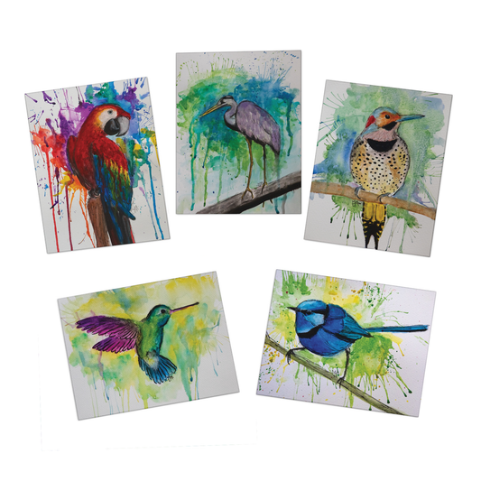 Natures Feathers Greeting Cards