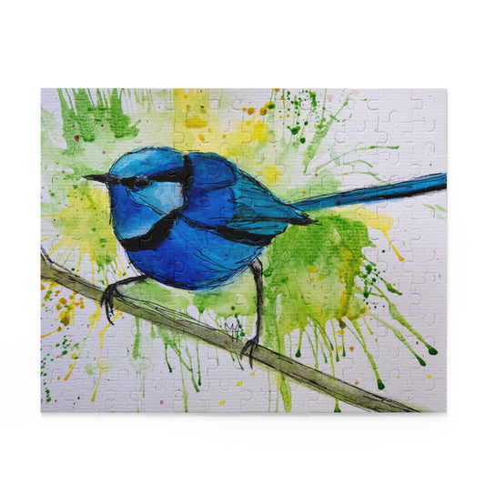 Splendid Fairywren