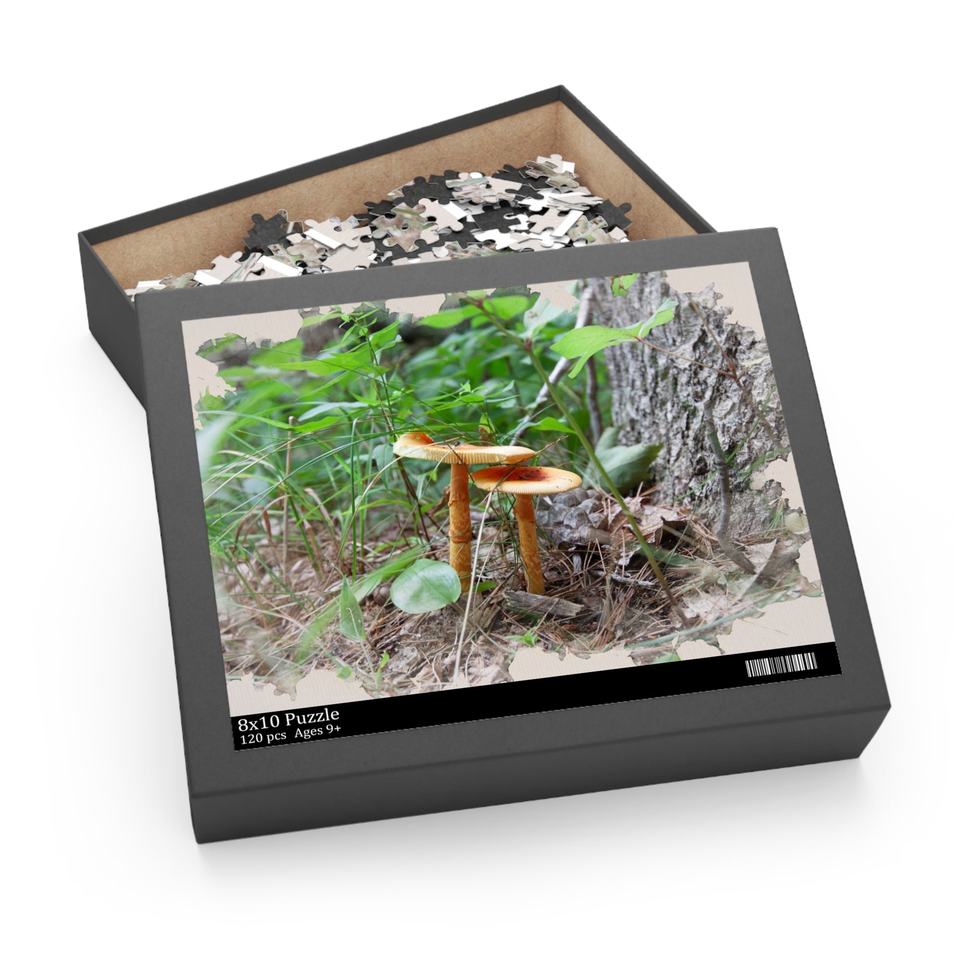 Challenging artwork Photo puzzles with beautiful art inspired by storytelling and nature. Beautiful puzzles and nature puzzles from my photos of my artwork.