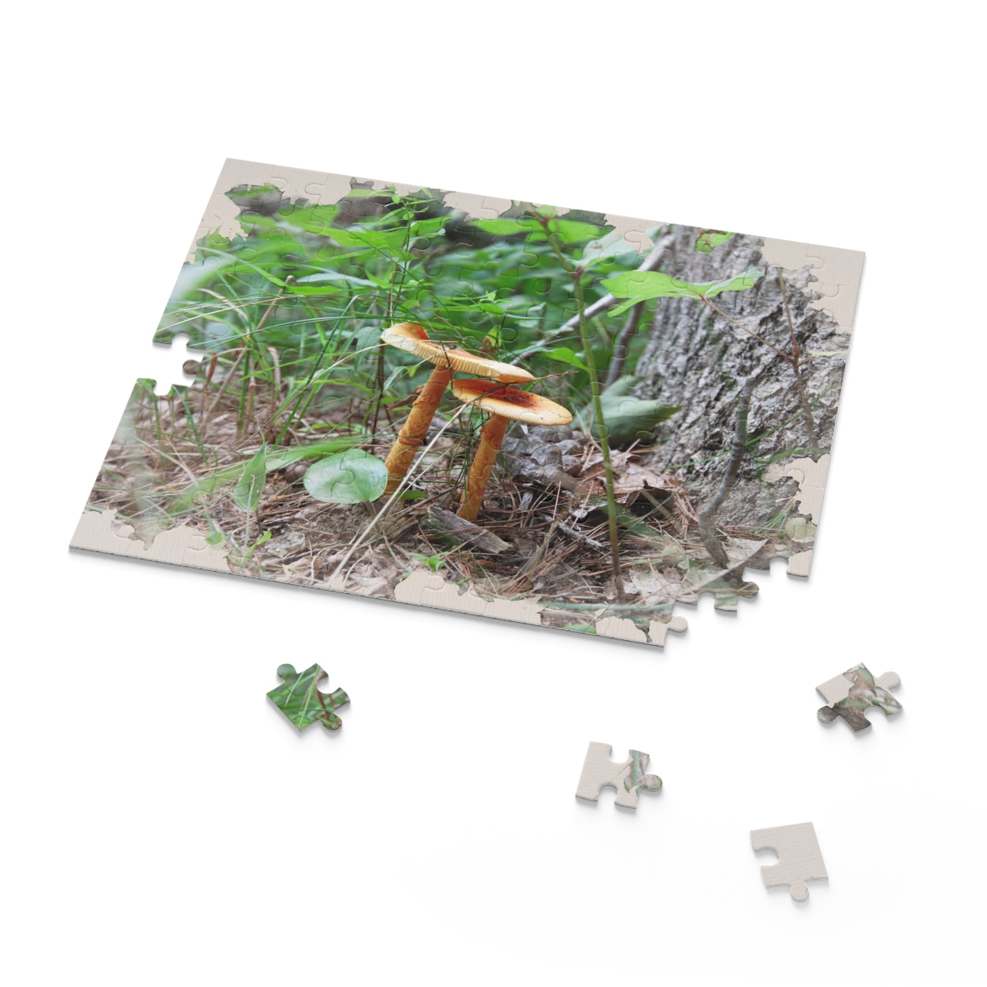 Challenging artwork Photo puzzles with beautiful art inspired by storytelling and nature. Beautiful puzzles and nature puzzles from my photos of my artwork.