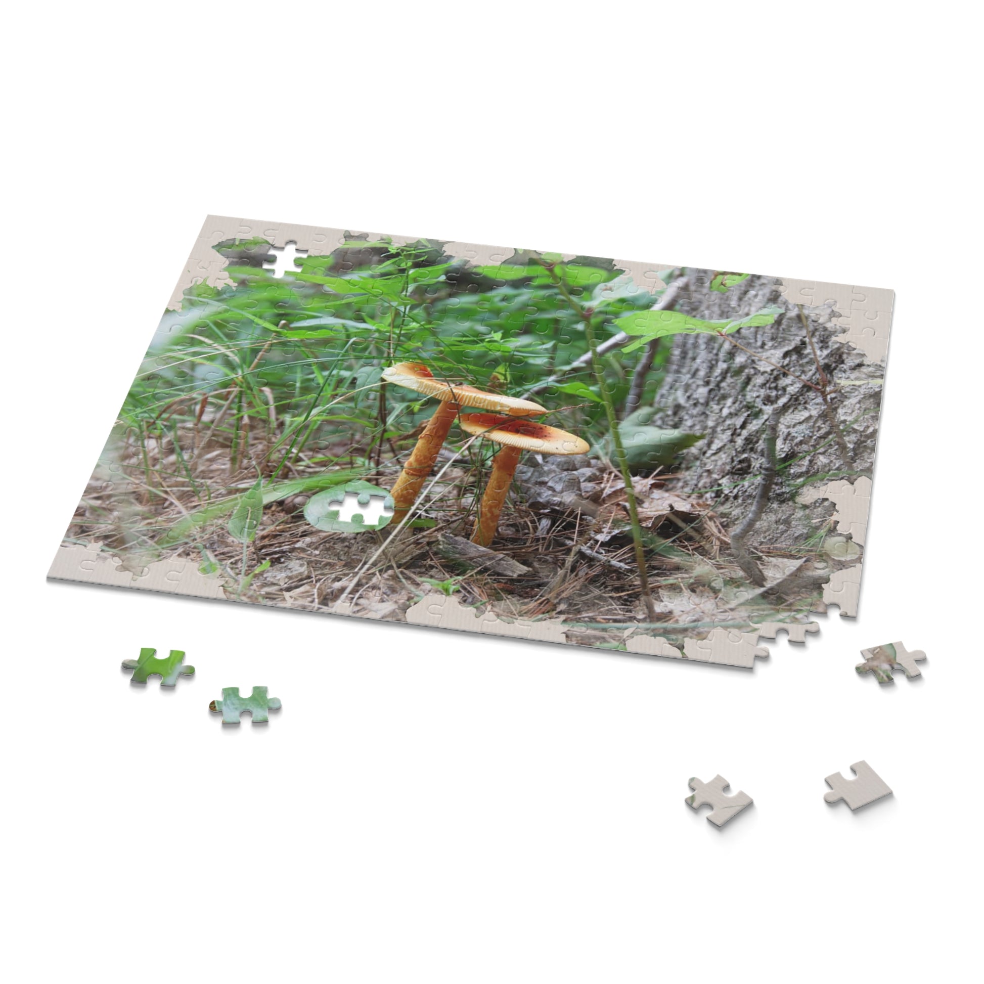 Challenging artwork Photo puzzles with beautiful art inspired by storytelling and nature. Beautiful puzzles and nature puzzles from my photos of my artwork.